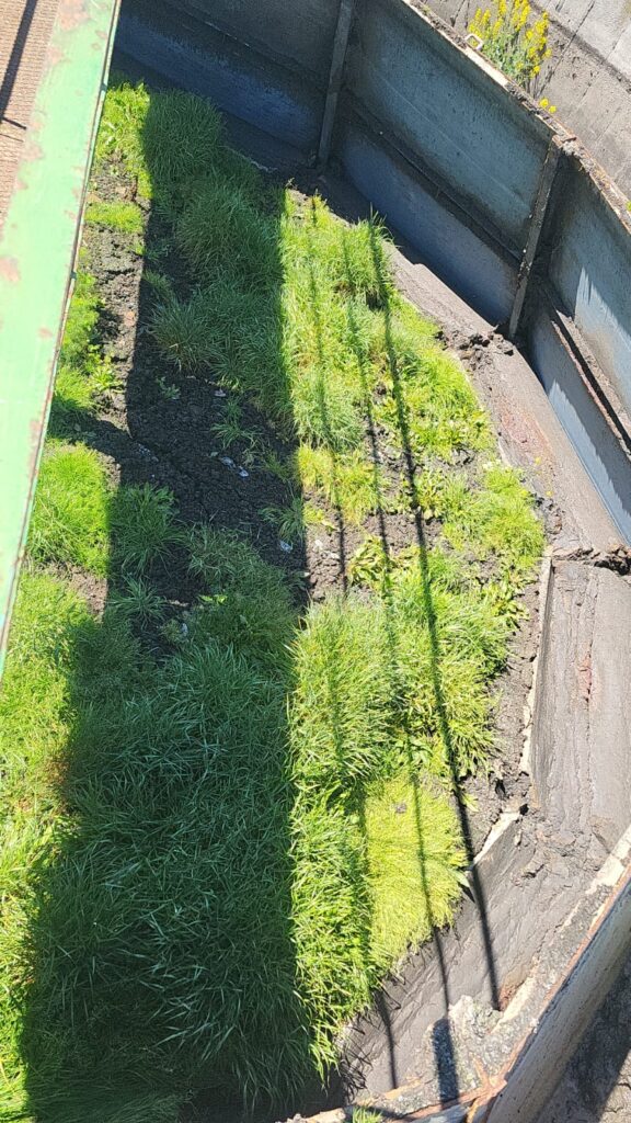 Profesjonalne czyszczenie osadnika Imhoffa – efektywność i oszczędność!